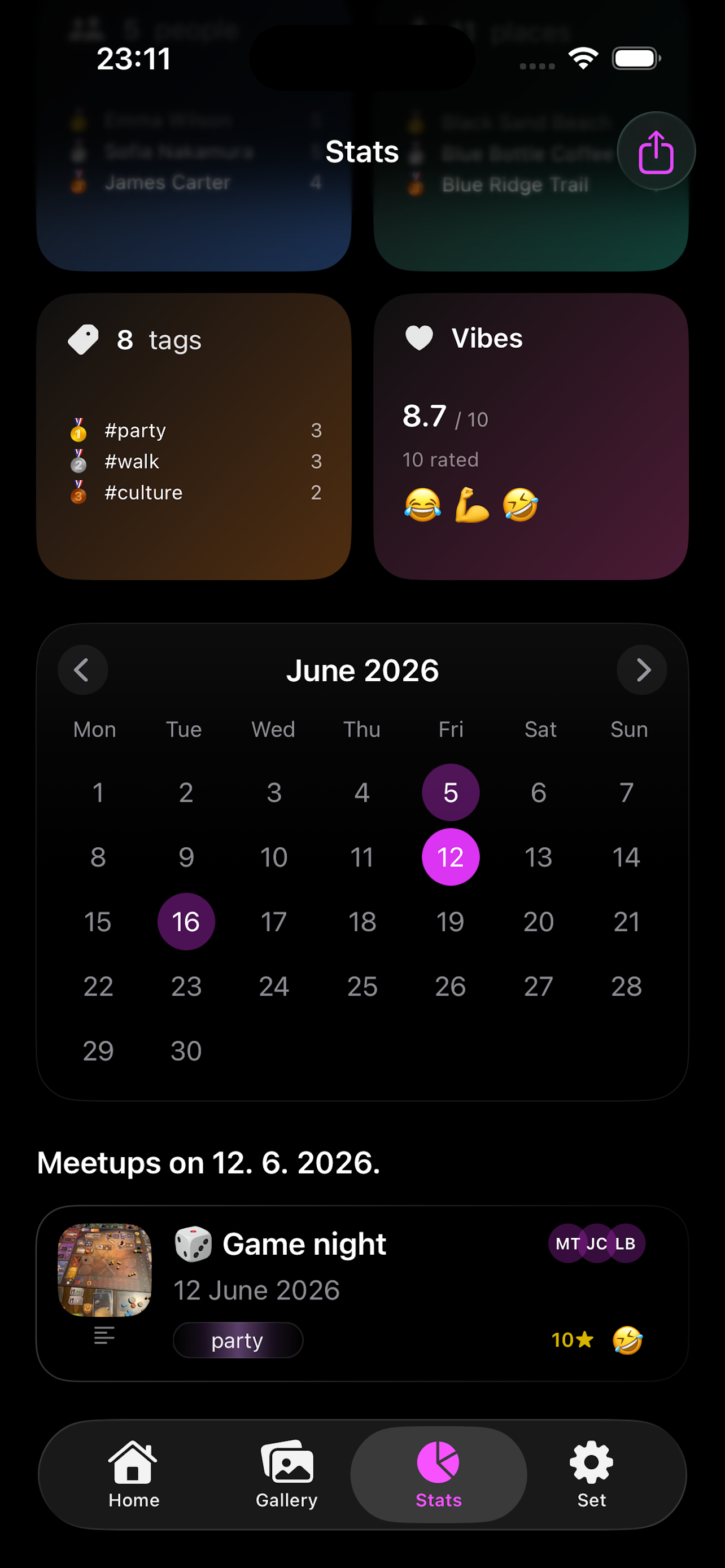 Stats screen showing tags, vibe score and meetups on a selected day